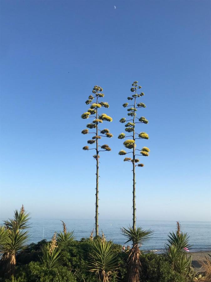 Marbella - Estepona Beach Frontline Apartment Luaran gambar